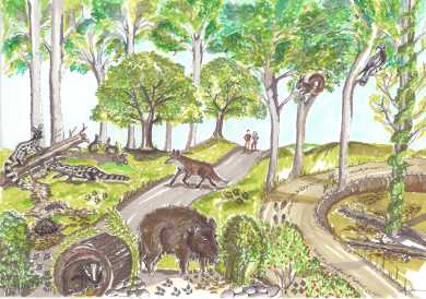 Can coll / Footprints 