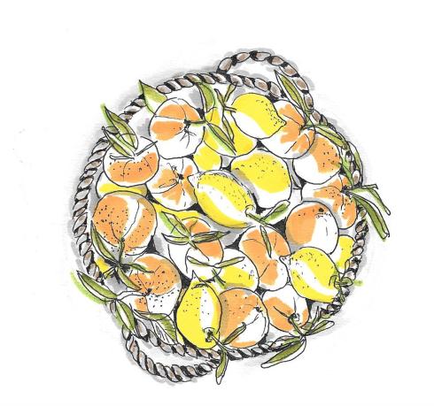 cesta con fruta dibujo