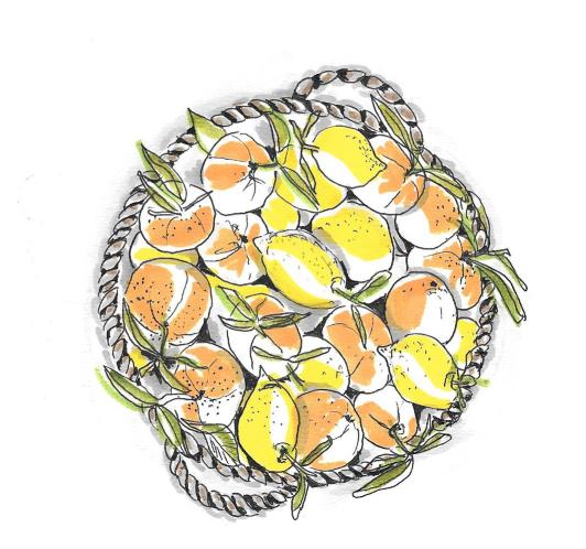 cesta con fruta dibujo