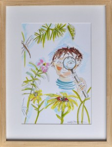 Racó de observació